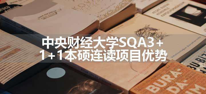 中央财经大学SQA3+1+1本硕连读项目优势