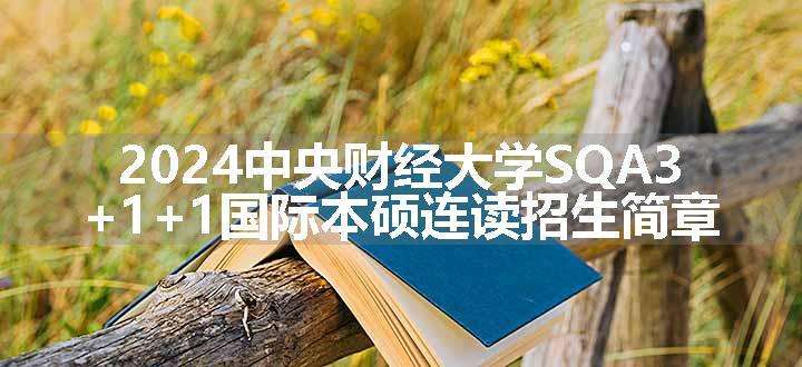 中央财经大学SQA3+1+1国际本硕连读招生简章