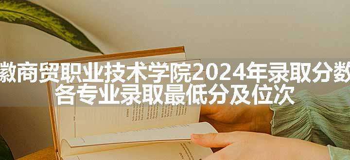 安徽商贸职业技术学院2024年录取分数线 各专业录取最低分及位次