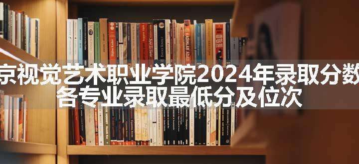 南京视觉艺术职业学院2024年录取分数线 各专业录取最低分及位次