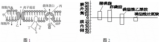 如图所示，图1是生物膜的流动镶嵌模型及物质跨膜运输示意图，其中离子通道是一种通道蛋白，通道蛋白是横跨细胞...