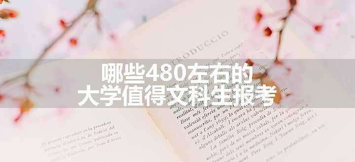 哪些480左右的大学值得文科生报考