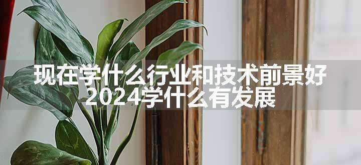 现在学什么行业和技术前景好 2024学什么有发展