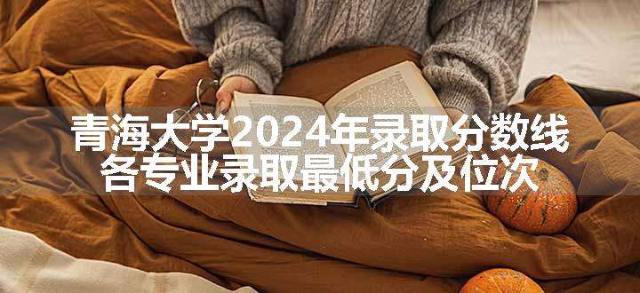 青海大学2024年录取分数线 各专业录取最低分及位次