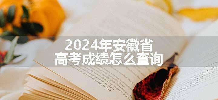 2024年安徽省高考成绩怎么查询