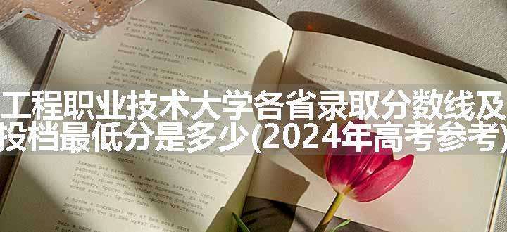 山东工程职业技术大学各省录取分数线及位次 投档最低分是多少(2024年高考参考)