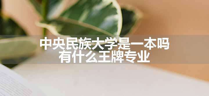 中央民族大学是一本吗 有什么王牌专业