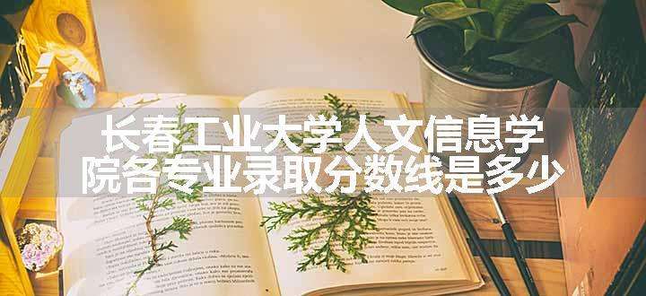 长春工业大学人文信息学院各专业录取分数线是多少