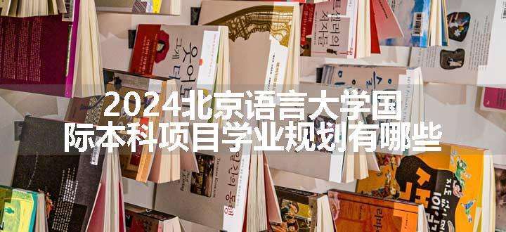 2024北京语言大学国际本科项目学业规划有哪些