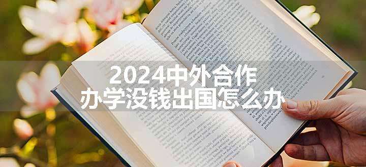 2024中外合作办学没钱出国怎么办