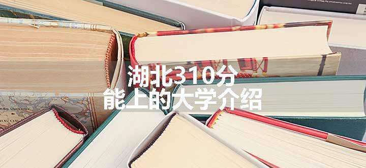 湖北310分能上的大学介绍