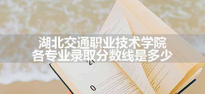 湖北交通职业技术学院各专业录取分数线是多少