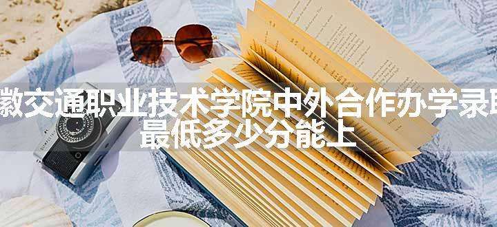 2023安徽交通职业技术学院中外合作办学录取分数线 最低多少分能上