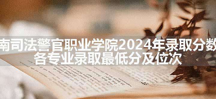 河南司法警官职业学院2024年录取分数线 各专业录取最低分及位次