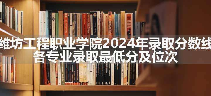 潍坊工程职业学院2024年录取分数线 各专业录取最低分及位次