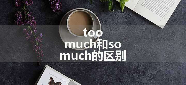 too much和so much的区别