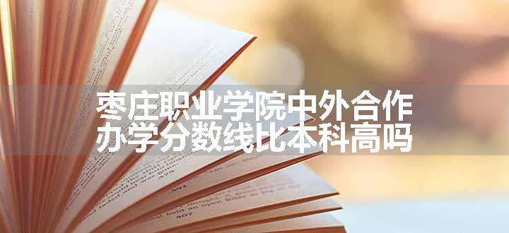 枣庄职业学院中外合作办学分数线比本科高吗