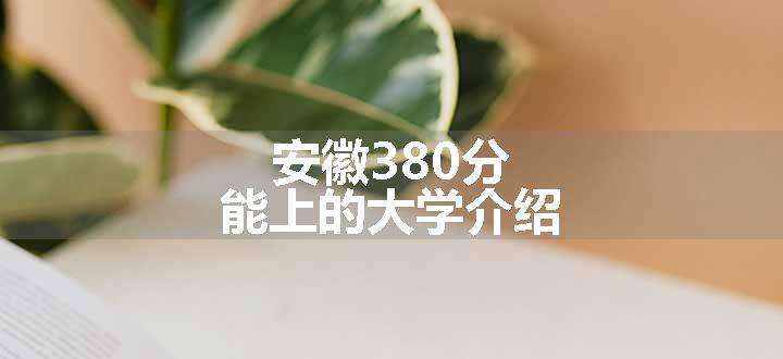 安徽380分能上的大学介绍