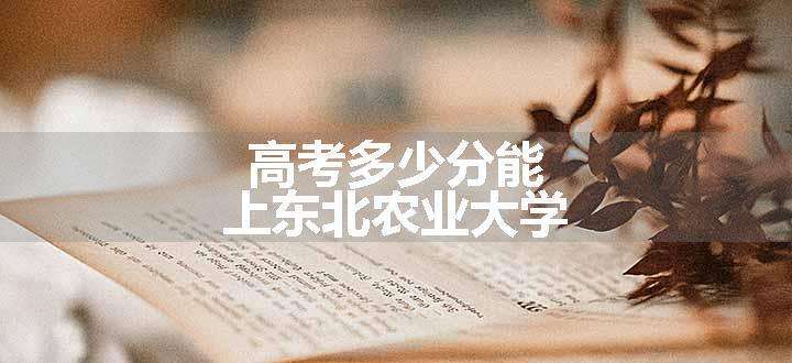 高考多少分能上东北农业大学