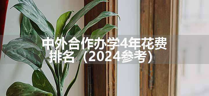 中外合作办学4年花费排名（2024参考）