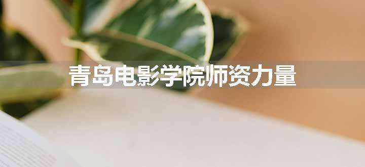 青岛电影学院师资力量