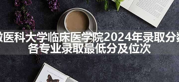 安徽医科大学临床医学院2024年录取分数线 各专业录取最低分及位次