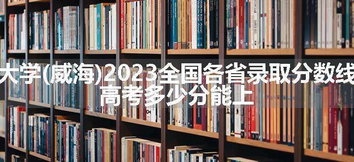 哈尔滨工业大学(威海)2023全国各省录取分数线及最低位次 高考多少分能上