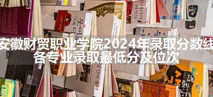 安徽财贸职业学院2024年录取分数线 各专业录取最低分及位次