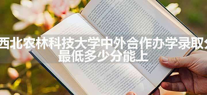 2023西北农林科技大学中外合作办学录取分数线 最低多少分能上