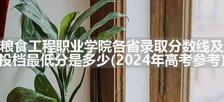 安徽粮食工程职业学院各省录取分数线及位次 投档最低分是多少(2024年高考参考)