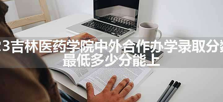 2023吉林医药学院中外合作办学录取分数线 最低多少分能上