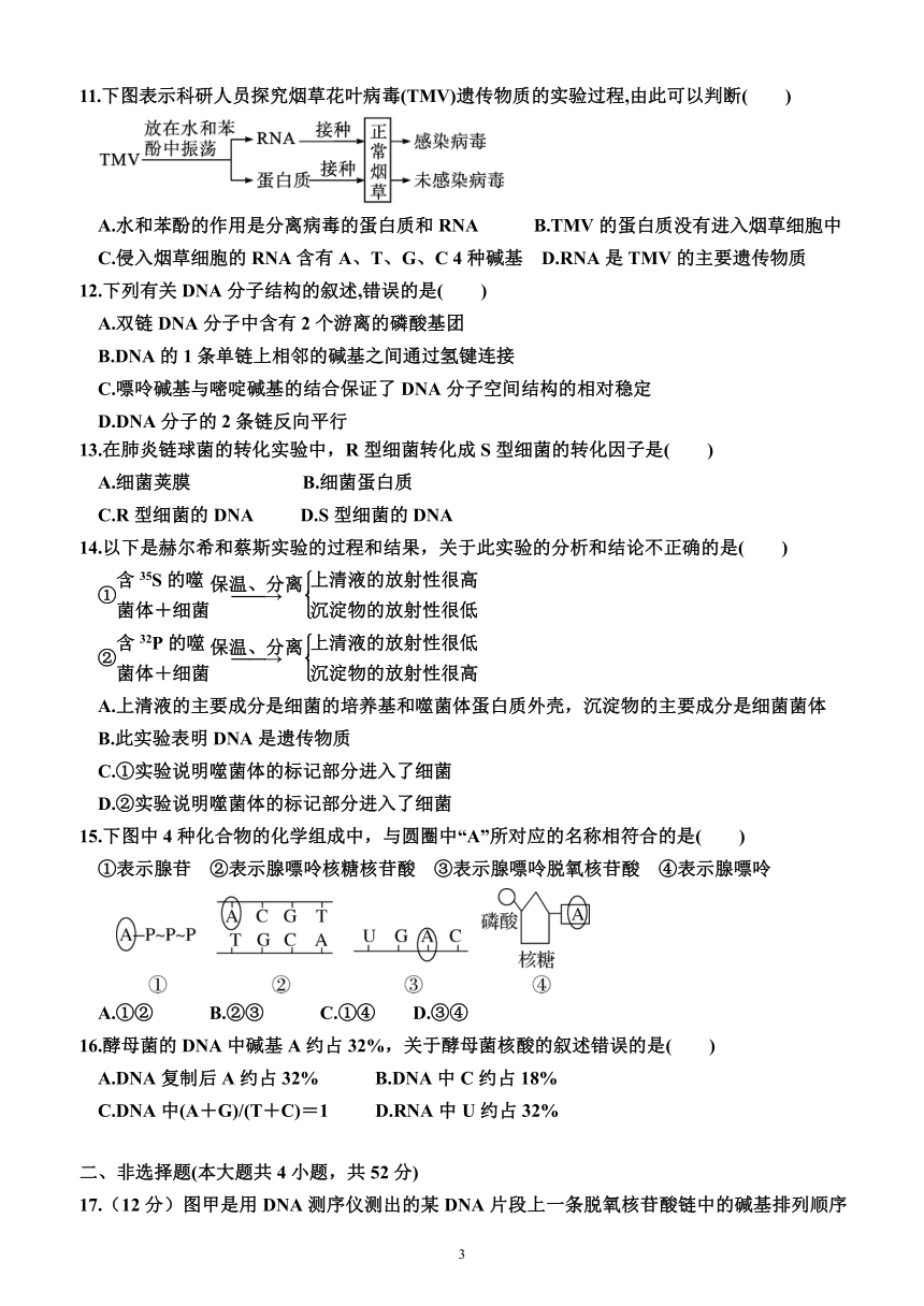 第三章 基因的本质（单元测试）（附答案）—2023-2024学年高一下学期生物必修2（人教版(2019））