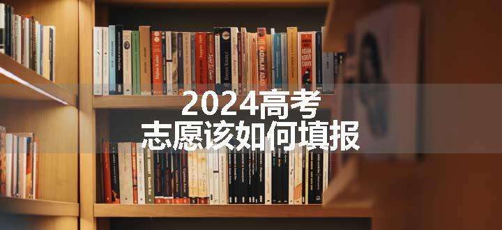 2024高考志愿该如何填报