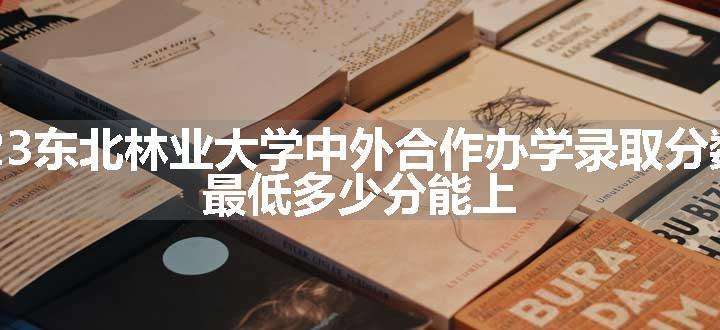 2023东北林业大学中外合作办学录取分数线 最低多少分能上