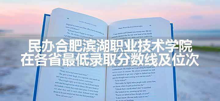 民办合肥滨湖职业技术学院在各省最低录取分数线及位次