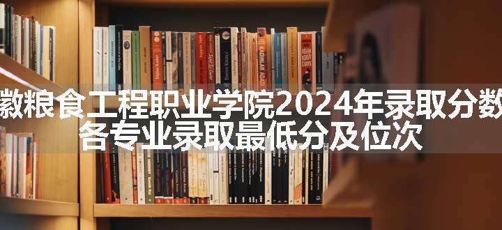 安徽粮食工程职业学院2024年录取分数线 各专业录取最低分及位次