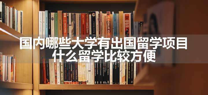 国内哪些大学有出国留学项目 什么留学比较方便