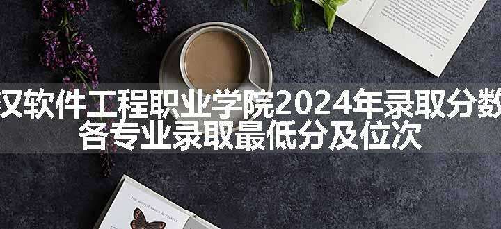 武汉软件工程职业学院2024年录取分数线 各专业录取最低分及位次