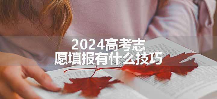 2024高考志愿填报有什么技巧