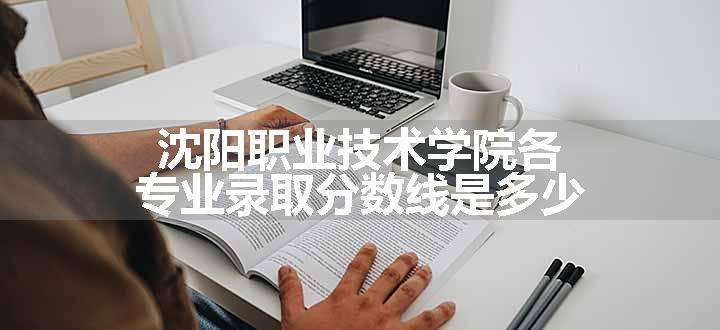 沈阳职业技术学院各专业录取分数线是多少