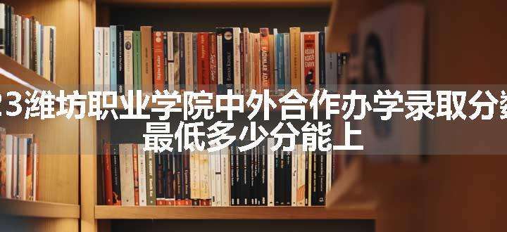 2023潍坊职业学院中外合作办学录取分数线 最低多少分能上