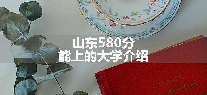 山东580分能上的大学介绍