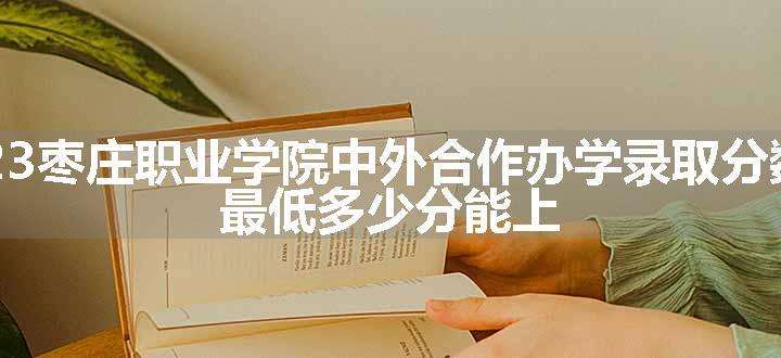 2023枣庄职业学院中外合作办学录取分数线 最低多少分能上