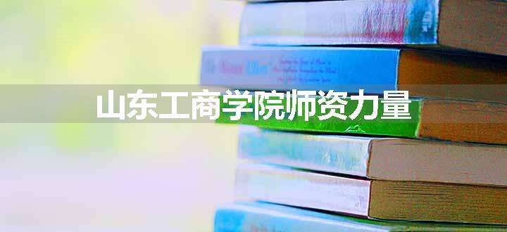 山东工商学院师资力量