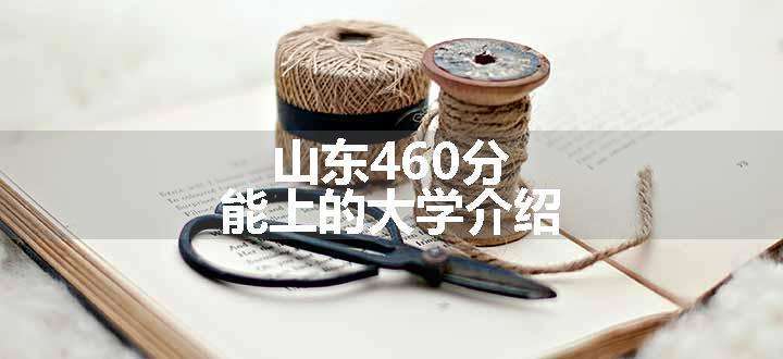 山东460分能上的大学介绍