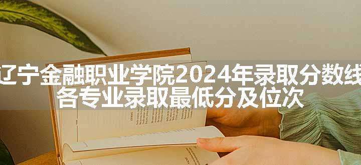 辽宁金融职业学院2024年录取分数线 各专业录取最低分及位次