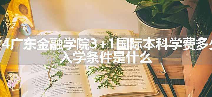 2024广东金融学院3+1国际本科学费多少钱 入学条件是什么