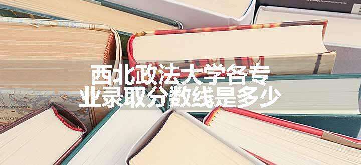 西北政法大学各专业录取分数线是多少