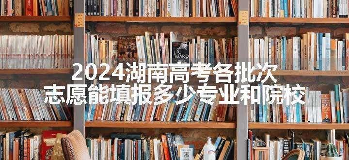 2024湖南高考各批次志愿能填报多少专业和院校