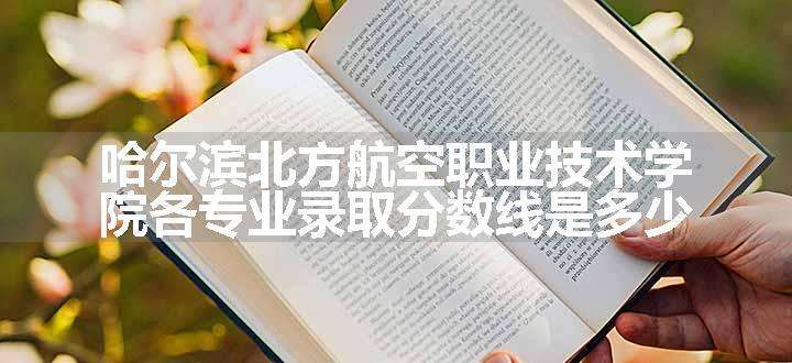 哈尔滨北方航空职业技术学院各专业录取分数线是多少